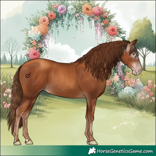 Horse Color:Gray Gold Champagne