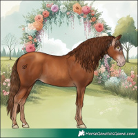 Horse Color:Gray Gold Champagne 