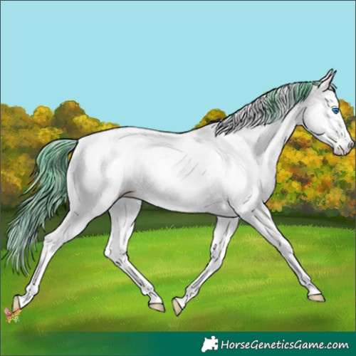Horse Color:Watercolor White Spotted Bay Ice Dun Splash 