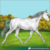 Horse Color:Watercolor White Spotted Bay Ice Dun Splash 