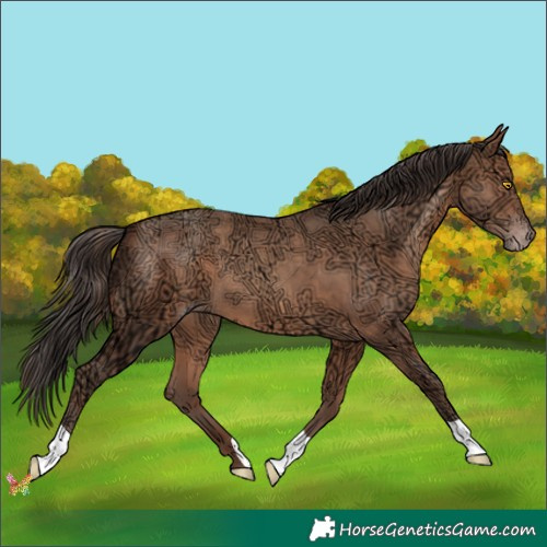 Horse Color:Sable Champagne Ice 