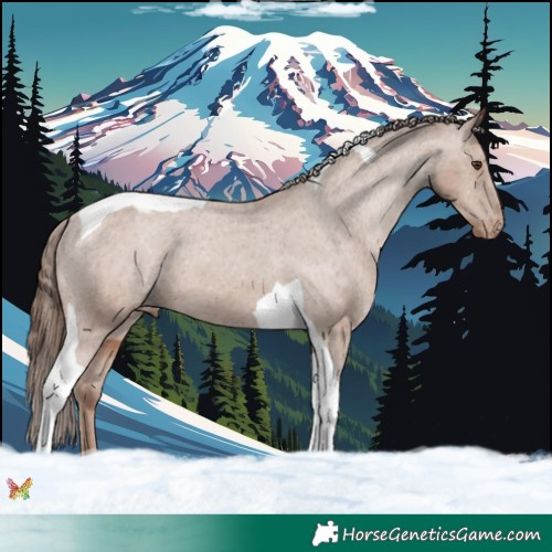 Horse Color:Classic Champagne Tobiano Varnish 
