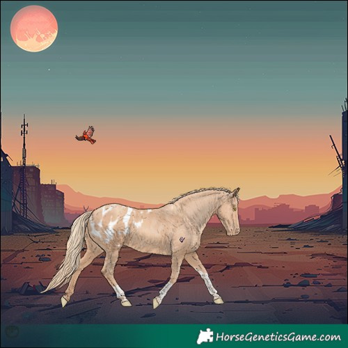 Horse Color:Gold Champagne Tobiano Blanket 