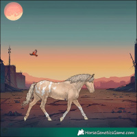 Horse Color:Gold Champagne Tobiano Appaloosa