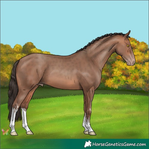 Horse Color:White Spotted Sable Champagne 