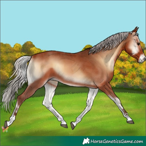 Horse Color:Silver Brown Onyx Sabino 
