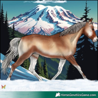 Horse Color:Silver Brown Onyx Sabino 