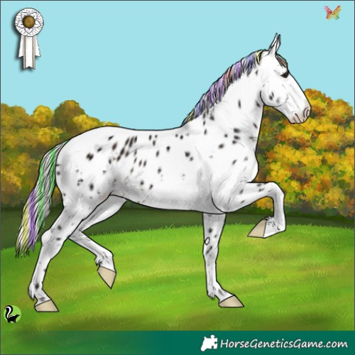 Horse Color:Painted White Spotted Silver Brown Ice Splash Appaloosa 