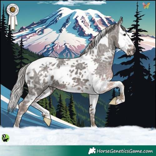 Horse Color:White Spotted Silver Black Ice Splash Tobiano 