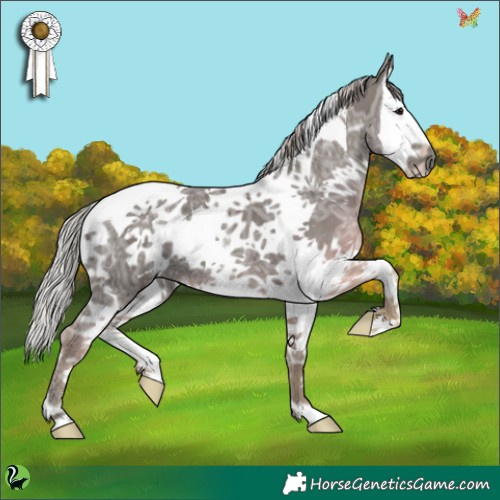Horse Color:White Spotted Silver Black Ice Splash Tobiano 