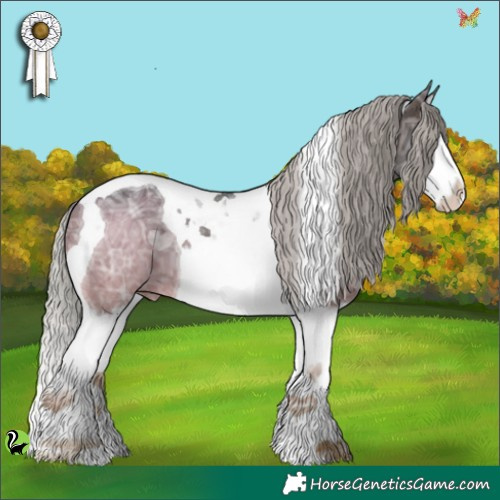 Horse Color:Silver Brown Ice Splash Tobiano 