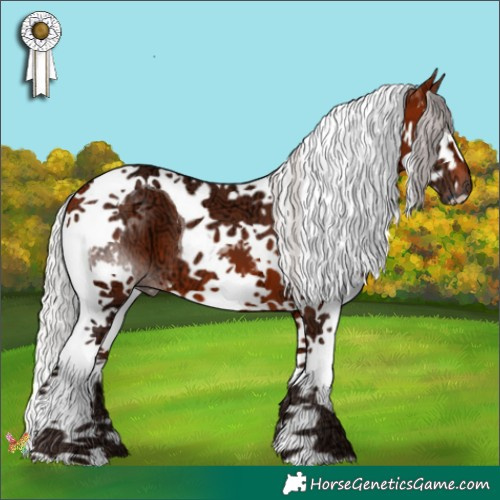 Horse Color:Silver Brown Ice Splash Tobiano 