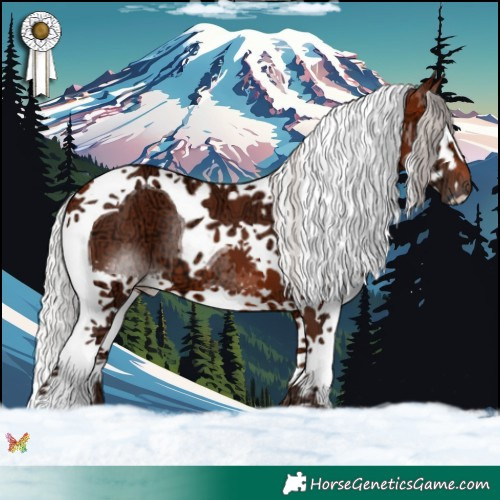 Horse Color:Silver Brown Ice Splash Tobiano 