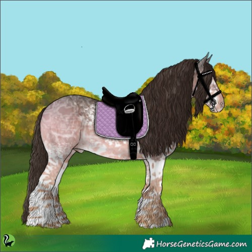 Horse Color:White Spotted Liver Chestnut Ice 