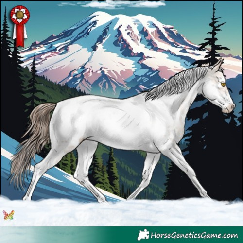 Horse Color:Amber Champagne Sabino Tobiano Frame Appaloosa 