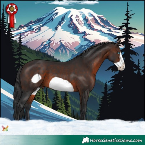 Horse Color:Brown Frame 