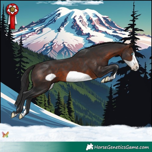 Horse Color:Brown Frame 