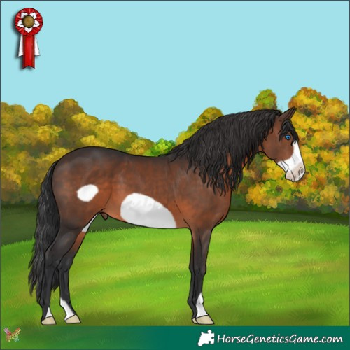 Horse Color:Brown Frame 