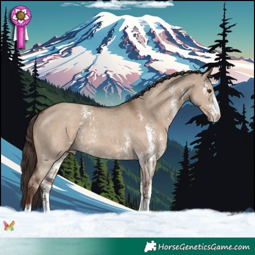 Horse Color:Liver Red Dun Sabino 