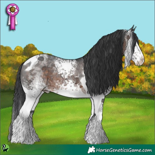 Horse Color:White Spotted Brown Ice Tobiano 