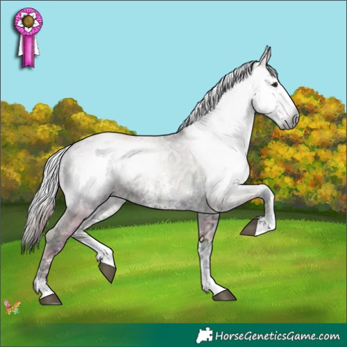 Horse Color:Gray Nacre Liver Red Dun Ice Onyx Sabino 