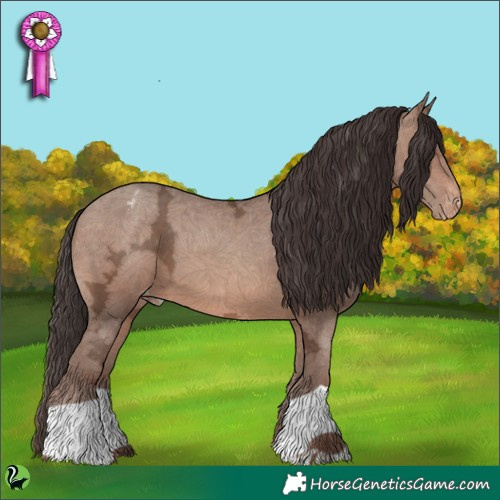 Horse Color:Sable Champagne Ice Appaloosa 