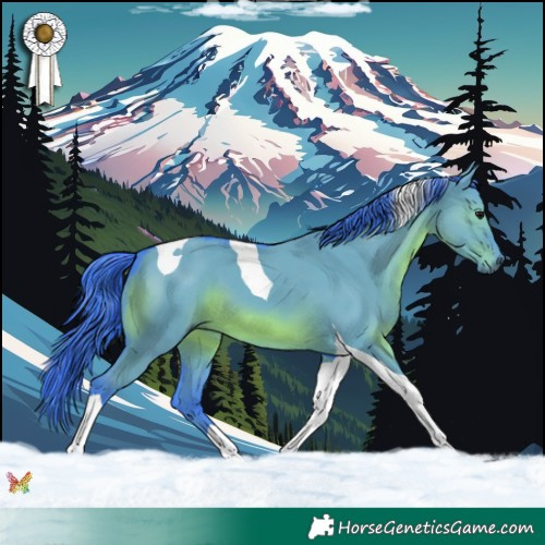 Horse Color:Watercolor Smoky Grullo Tobiano 