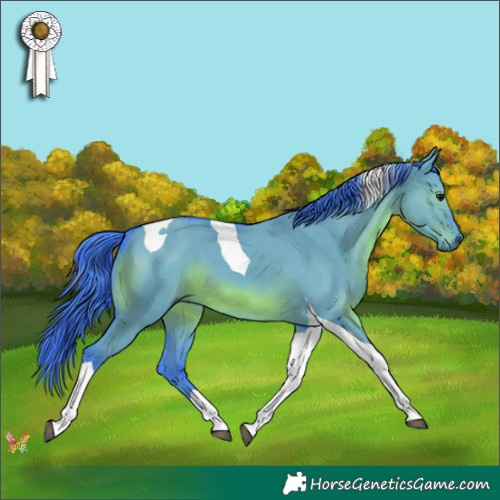 Horse Color:Watercolor Smoky Grullo Tobiano 