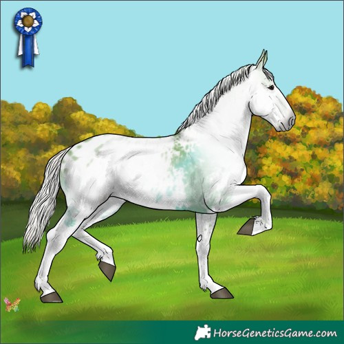 Horse Color:Gray Watercolor White Spotted Silver Black Appaloosa 