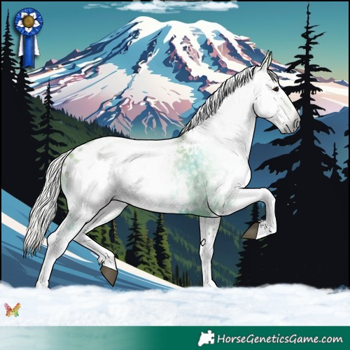 Horse Color:Gray Watercolor White Spotted Silver Black Appaloosa 