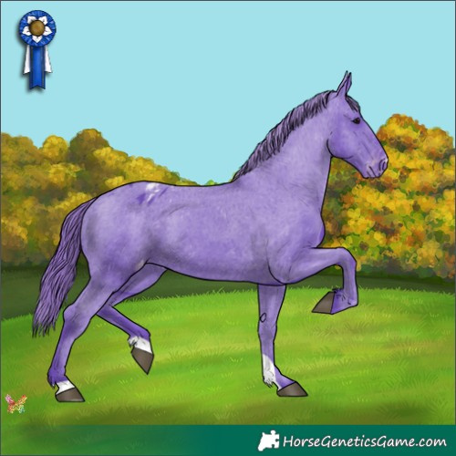 Horse Color:Watercolor Black Appaloosa 