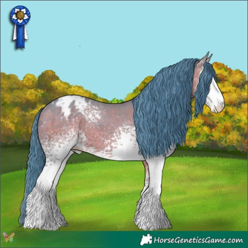 Horse Color:Watercolor White Spotted Sable Champagne Appaloosa 