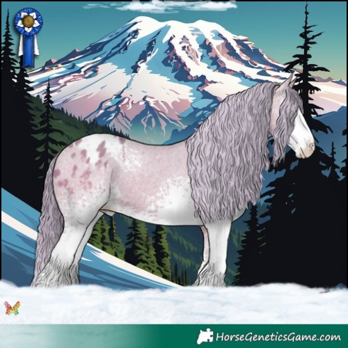 Horse Color:Watercolor White Spotted Sable Champagne Appaloosa 