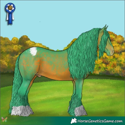 Horse Color:Watercolor Brown Appaloosa 