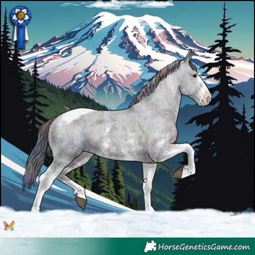 Horse Color:Nacre Black Ice Sabino Tobiano Varnish 