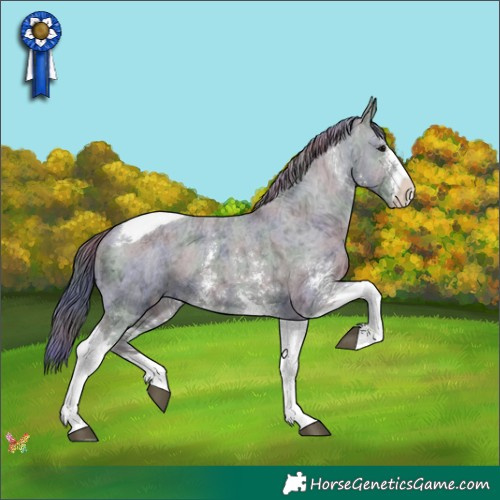 Horse Color:Nacre Black Ice Sabino Tobiano Appaloosa 