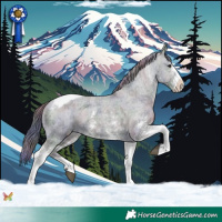 Horse Color:Nacre Black Ice Sabino Tobiano Varnish 
