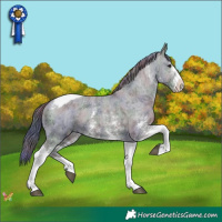 Horse Color:Nacre Black Ice Sabino Tobiano Appaloosa 