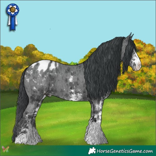Horse Color:Black Ice Sabino Appaloosa 