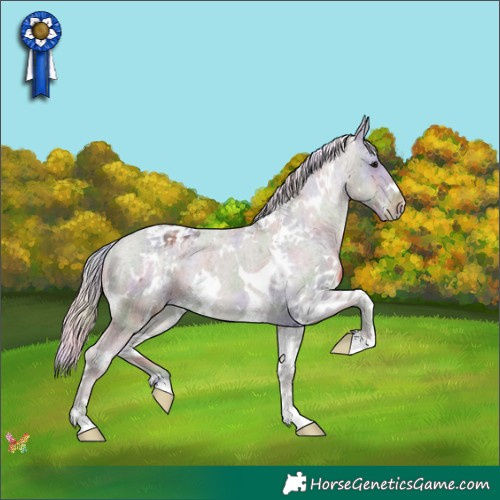Horse Color:Nacre White Spotted Silver Smoky Black Tobiano Appaloosa 