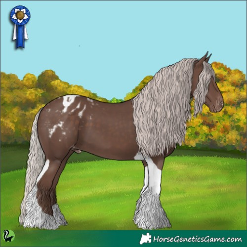 Horse Color:Silver Black Tobiano Appaloosa 