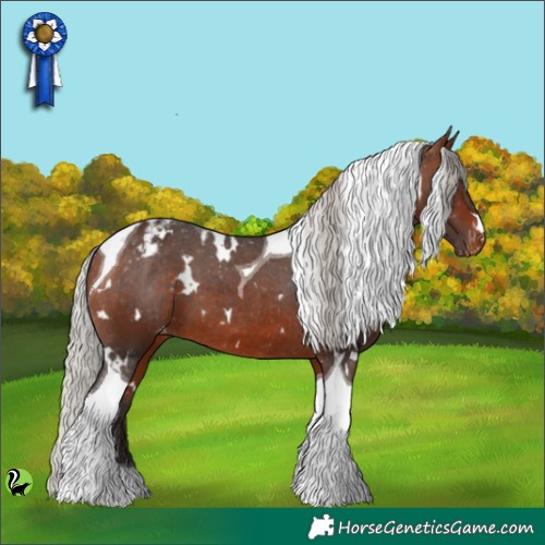 Horse Color:White Spotted Silver Brown Tobiano Appaloosa 