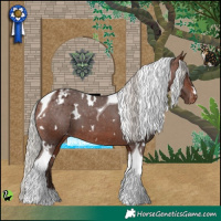 Horse Color:White Spotted Silver Brown Tobiano Appaloosa
