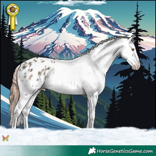 Horse Color:Amber Champagne Ice Onyx Appaloosa Rabicano 