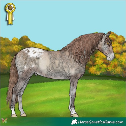 Horse Color:Amber Champagne Ice Onyx Appaloosa Rabicano 