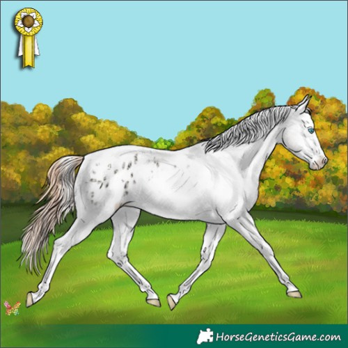 Horse Color:White Spotted Amber Cream Champagne Ice Pearl Onyx Appaloosa Rabicano 
