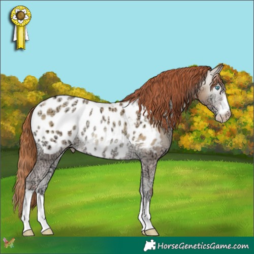 Horse Color:Gray Classic Cream Champagne Ice Pearl Onyx Appaloosa Rabicano 