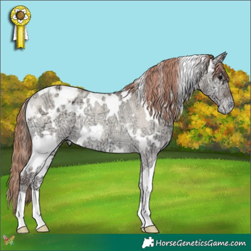 Horse Color:White Spotted Classic Champagne Ice Onyx Appaloosa Rabicano 