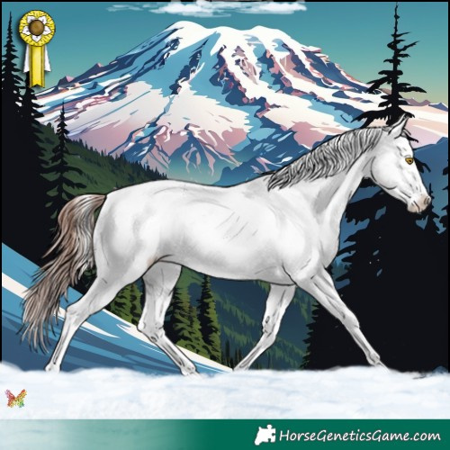 Horse Color:White Spotted Sable Champagne Ice Onyx Appaloosa Rabicano 