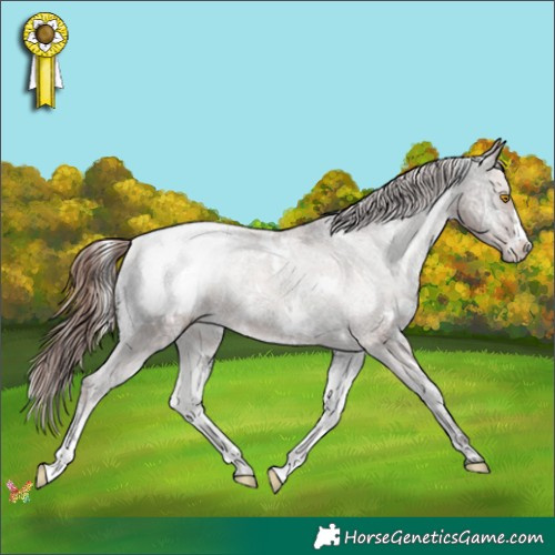 Horse Color:White Spotted Sable Champagne Ice Onyx Appaloosa Rabicano 